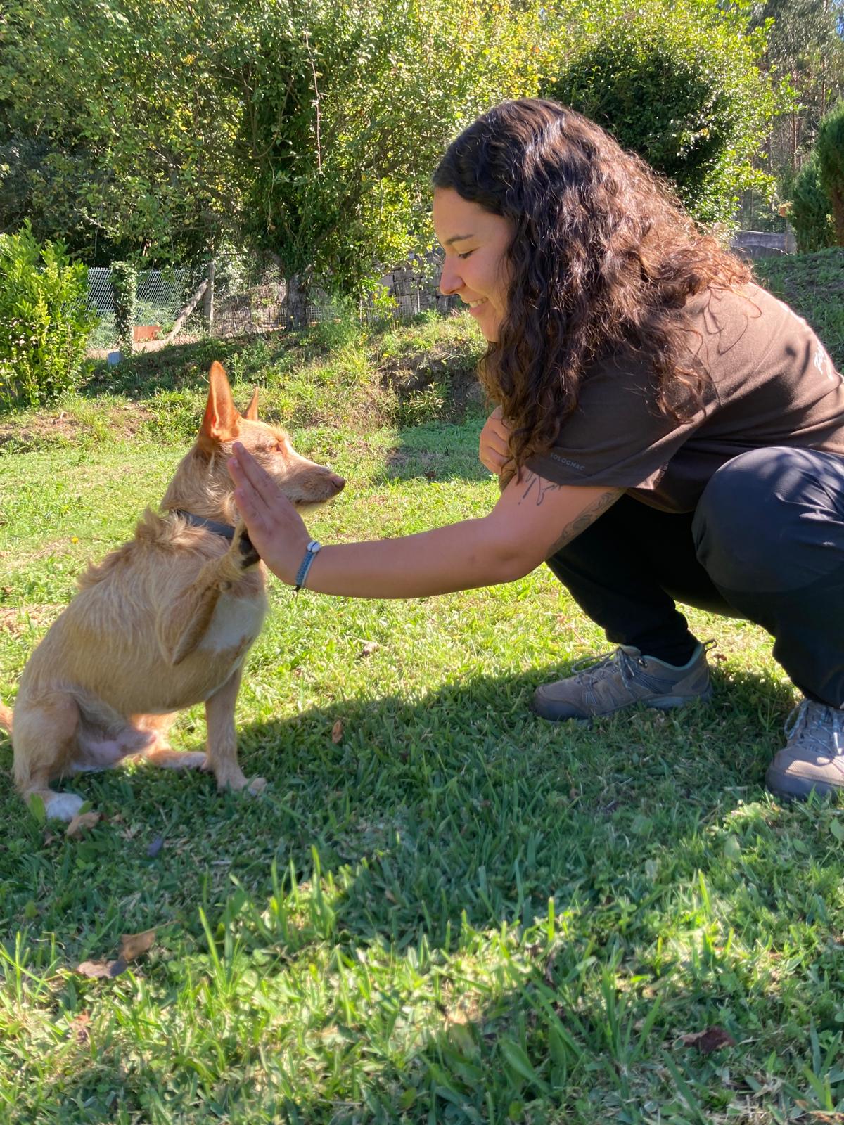 Intervención asistida con perro