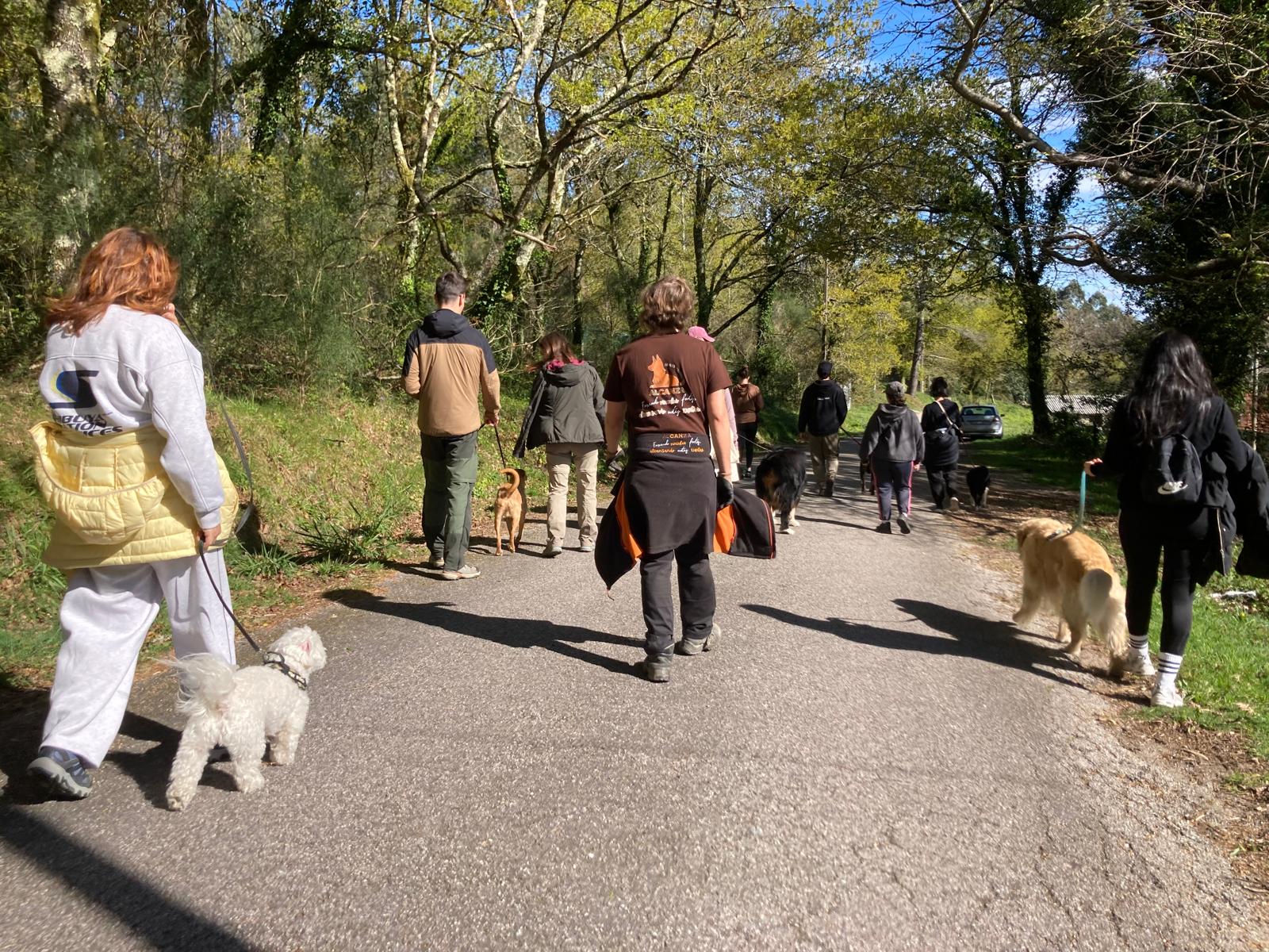 Perro descansando en el campo